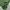 Vintage Y2K Casual pants Pria green photo 8