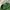 Vintage Y2K Casual pants Pria green photo 7