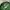 Vintage Y2K Casual pants Pria green photo 6