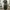 Vintage Y2K Casual pants Pria green photo 1