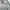 Polo Ralph Lauren Luxury Minimalist Formal shirt Pria gray photo 2