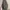 Bershka Vintage Bomber jacket Wanita green photo 4
