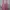 Lolita Coquette Skirt Wanita Pink