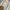 Minimalist Casual Boyfriend jeans Wanita white cream photo 2