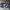 Japanese brand Streetwear Bomber jacket Pria navy photo 2