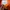 Pancoat Indie Minimalist Sweater Pria orange photo 6