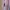 Calvin Klein Casual Casual dress Wanita multicolor photo 6
