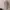 Calvin Klein Casual Casual dress Wanita multicolor photo 3