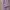 Calvin Klein Casual Casual dress Wanita multicolor photo 5