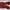 Stussy Streetwear Y2K Casual trouser Wanita red photo 5