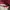 Michael Kors Casual Shoulder bag Wanita burgundy pink photo 3