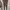 Shein Avant Garde Casual Legging Wanita tan photo 1