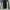 Everlast Sportswear Track jacket Pria black yellow photo 1