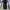 Everlast Sportswear Track jacket Pria black yellow photo 2