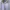 Wilson Streetwear Windbreaker Pria white cream photo 3