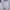 Wilson Streetwear Windbreaker Pria white cream photo 1