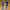 Puma Streetwear Sportswear Jersey Pria gold navy photo 6