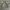H&M Casual Harrington jacket Pria green cream photo 1