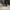 The North Face Gorpcore Puffer jacket Pria green cream photo 7