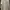Polo Ralph Lauren Luxury Shirt Wanita white photo 5