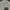 Levi's Streetwear Y2K Formal shirt Pria multicolor photo 2