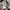 Vintage Streetwear Hoody Pria gray photo 5
