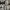 Luxury Cardigan Wanita white black photo 7