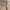 Puma Luxury Polo shirt Pria tan photo 2