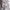 Le Coq Sportif Sportswear Casual Sweater Pria white photo 5