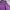 GAP Luxury Polo shirt Pria purple photo 2