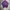 GAP Luxury Polo shirt Pria purple photo 1