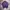 GAP Luxury Polo Shirt Pria Purple