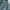 Luxury Casual Polo shirt Pria green navy photo 2