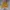 Nike Vintage Y2K Sweater Pria yellow photo 1