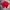 Luxury Casual Polo Shirt Pria Red