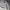 Calvin Klein Streetwear Luxury Sweater Pria Gray