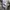 Calvin Klein Streetwear Luxury Sweater Pria gray photo 5