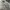 Calvin Klein Streetwear Luxury Sweater Pria gray photo 3