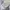 Calvin Klein Streetwear Luxury Sweater Pria gray photo 6