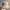 Vintage Streetwear Hat Pria Tan