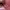Hello Kitty Lolita Coquette Bags & purse Wanita pink photo 4