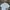 Uniqlo Streetwear Y2K Formal shirt Pria multicolor photo 1