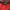French Connection Casual Casual dress Wanita red black photo 4