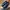 Luxury Minimalist Loafer Pria Black