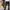 Japanese brand Streetwear Casual Casual pants Pria black photo 8