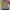 Pancoat Minimalist Casual Wanita gray yellow photo 1