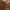 ZARA Casual Casual dress Wanita brown photo 8