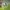 Nike Sportswear Casual Pria multicolor green photo 2