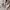 Nike Vintage Y2K Hoody Pria tan photo 4