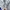 Nike Sportswear Hoody Wanita white photo 4